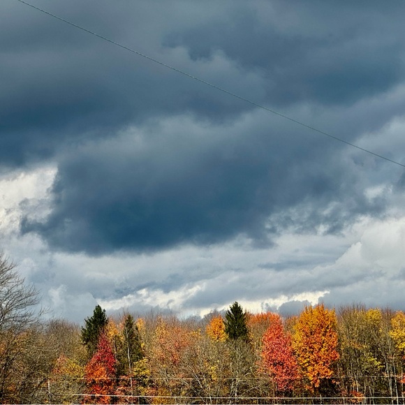 Meet your Posher, Leslie I love Freebird boots and Myra Bags - Picture 1 of 1